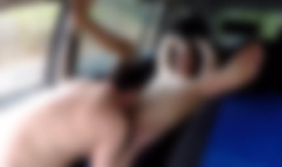 Ich lecke die unrasierte Hausfrauenfotze